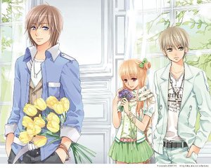 免费黄色软装推荐